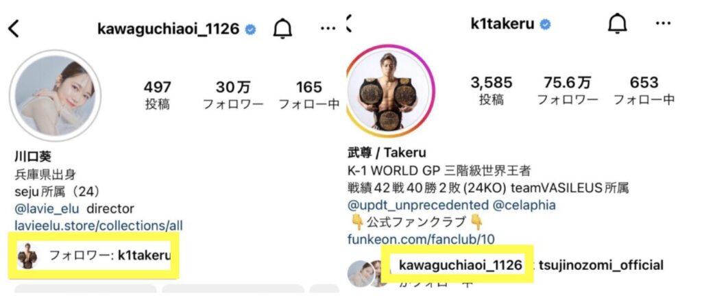 武尊川口葵